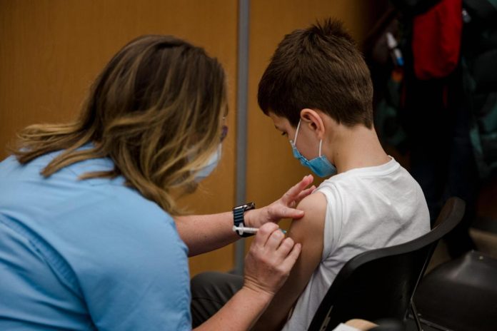 Vaccino Covid, giovedì si parte con i bambini 5-11 anni. 637 le prenotazioni nel mantovano nei primi 4 giorni oggi si può prenotare. Dal 16 le inoculazioni con le dosi pediatriche di Pfizer